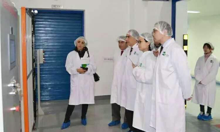 NG28·(南宫)相信品牌实力官网