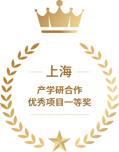 上海市产学研相助<br>优异项目一等奖