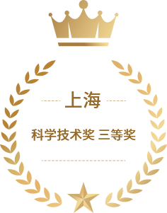 上海市科学手艺奖<br>三等奖