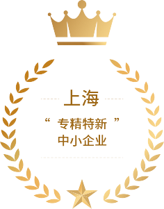 上海市&ldquo;专精特新&rdquo;<br>中小企业